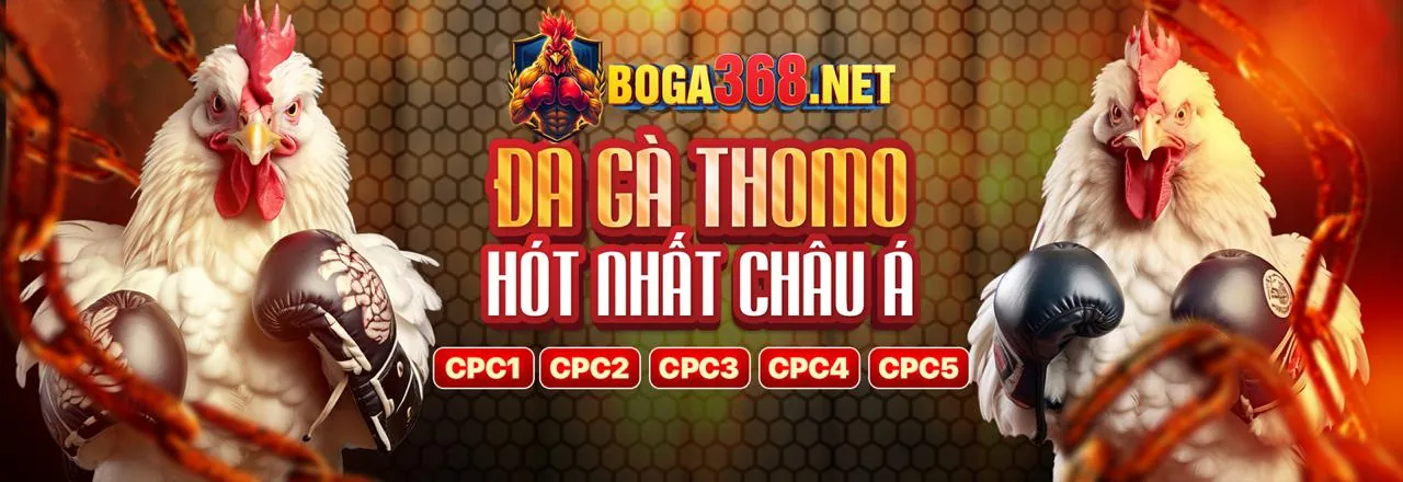 Biểu đồ hoa hồng ku.68